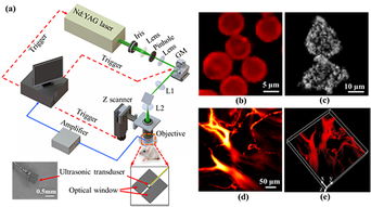 3d显微系统,开启微观世界的新视界