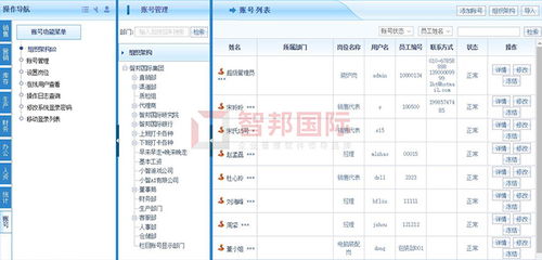 erp系统编码,关键环节与最佳实践