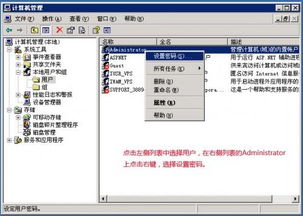 2003系统设置密码,Windows Server 2003系统设置密码指南