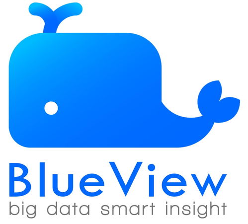 blueview智能营销系统,助力企业高效获客与精准营销