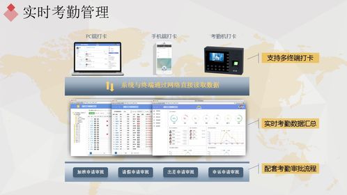 ehr 系统,企业人力资源管理的新时代利器