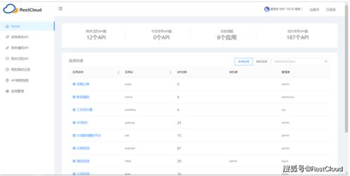 api管理系统平台开发,构建高效、安全的API服务