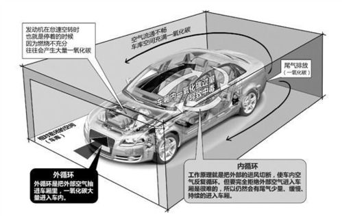 co系统