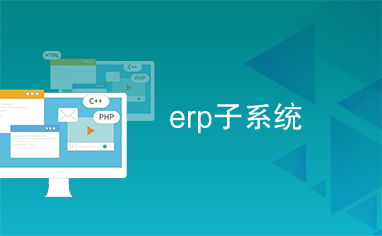 erp 子系统,ERP子系统的概述与重要性