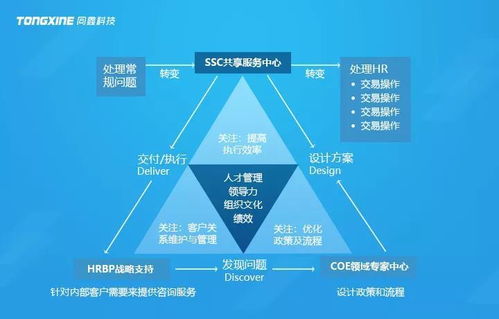 ehr系统人力资源,EHR系统在人力资源管理中的应用与价值