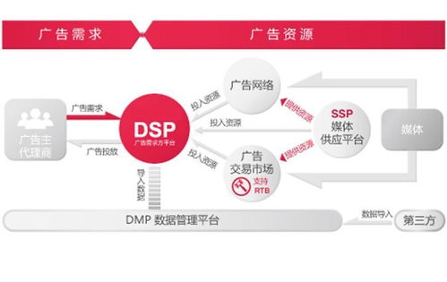 dsp广告系统开发,构建高效广告投放平台的关键步骤