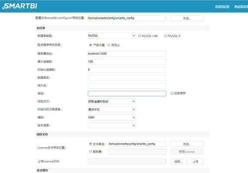 bi系统文档,功能、应用与价值