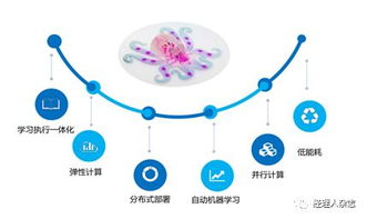 AI系统运营,高效驱动企业智能化转型