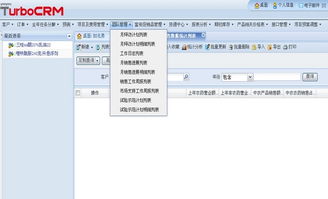 crm 系统介绍,企业客户关系管理的得力助手