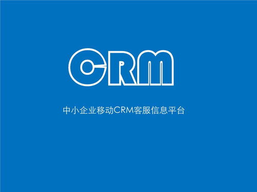 CRM系统之,CRM系统在现代企业中的应用与价值