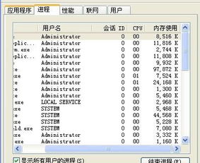 c 获取系统用户名, 操作系统概述