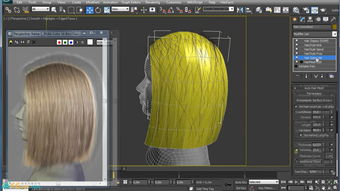 3dmax毛发系统,功能与使用技巧