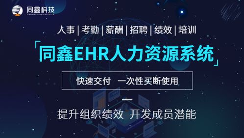 ehr系统 中行,助力企业人力资源管理数字化转型