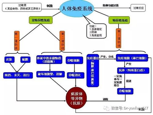 CYP系统代谢慢吃,CYP系统代谢慢人群的饮食建议