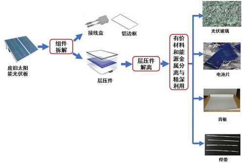 CYP系统代谢修复,药物代谢的关键与策略