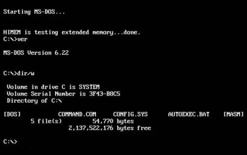 dos系统操作系统,回顾与探索