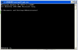 dos系统的笔记本,DOS系统笔记本的过去与现在
