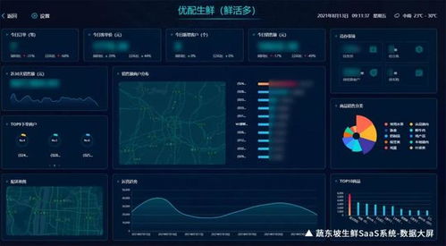 erp生鲜系统,ERP系统的关键作用