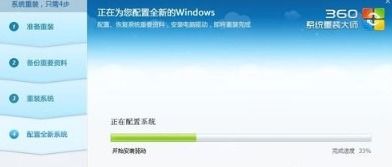 360系统重装大师win10