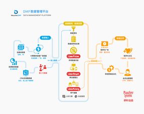 dmp 系统,数据管理平台在现代营销中的应用