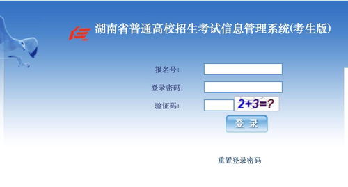 高考报考系统入口,轻松掌握报名流程