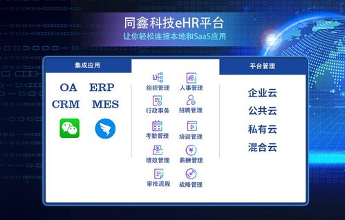 ehr系统是什么系统,企业人力资源管理的信息化利器