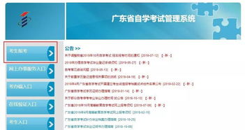 广东自考考试系统,深入了解广东自考考试系统——报名、考试、成绩查询全解析