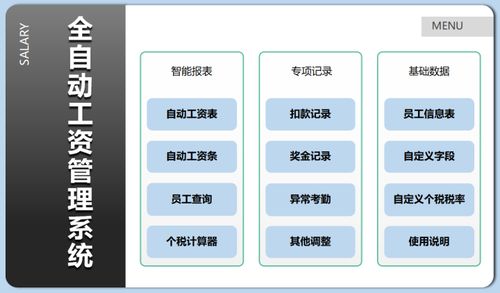 工资信息管理系统,企业高效管理的得力助手