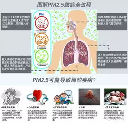 肺是呼吸系统,肺——呼吸系统的核心器官