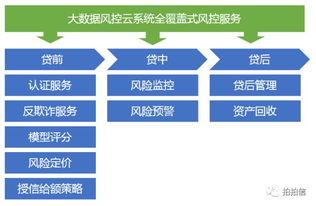 风控系统平台,金融安全的守护者