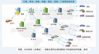 分销信息系统,分销信息系统的概述与重要性