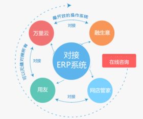 分销营销系统,企业提升销售业绩的数字化利器