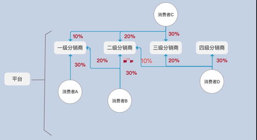 分销系统 设计,构建高效营销网络的关键策略