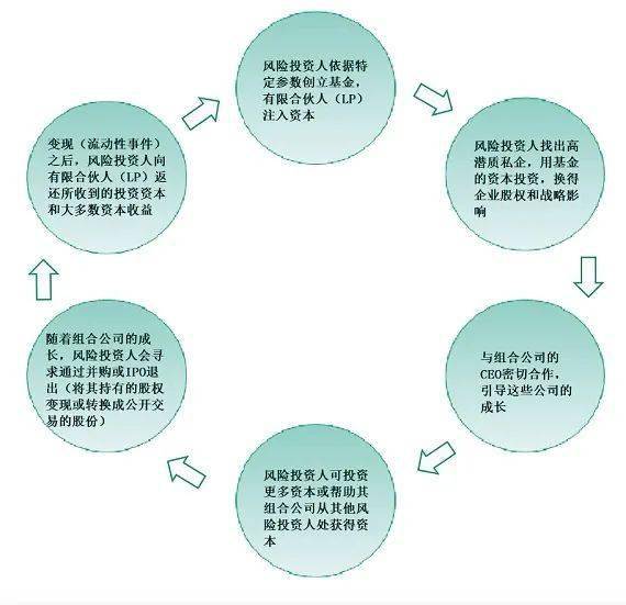 风险投资管理系统,风险投资管理系统的构建与功能解析