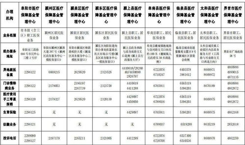 阜阳市医保查询系统,便捷服务，轻松掌握医保信息