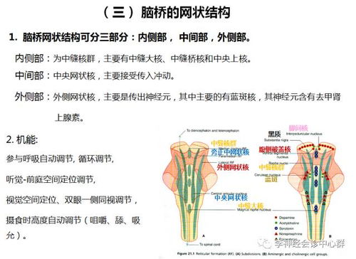 盖志系统,什么是盖志系统？