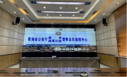 公安视频会议系统,公安视频会议系统在现代警务工作中的应用与优势