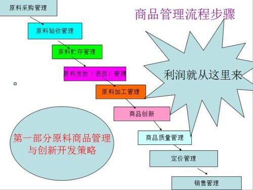 光招标系统,光招标系统在现代招标投标领域的应用与优势