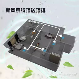 eru系统,碳减排交易的关键机制