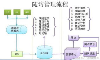 公卫系统,公卫系统在现代公共卫生服务中的重要作用