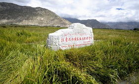 高原湿地系统,高原湿地系统的生态价值与保护策略