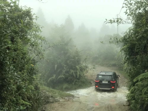 风雨山林系统,科技守护绿色家园