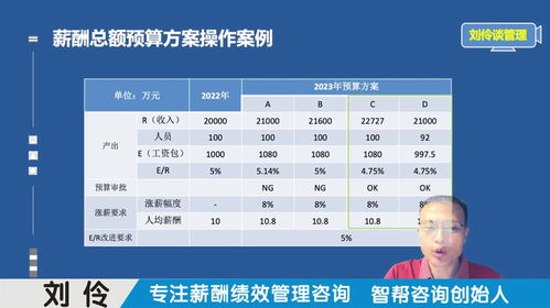 工资绩效系统,工资绩效系统在现代企业中的应用与优化