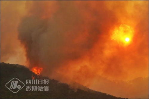 风林山火系统,智能森林防火与灭火解决方案