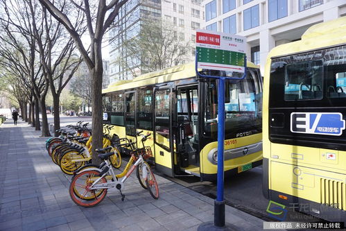 公交系统在北京的,城市交通的动脉与变迁