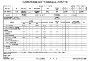 个人所得税纳税申报系统,便捷高效纳税新时代