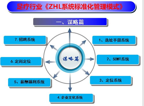 孵化器系统,创新企业的摇篮与加速器