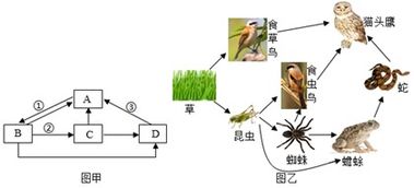 各种生态系统的特点,森林生态系统