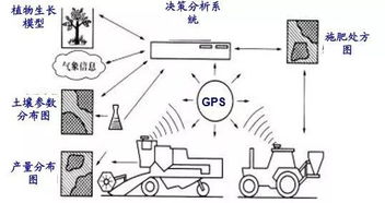 耕系统,耕系统在现代农业生产中的应用与展望