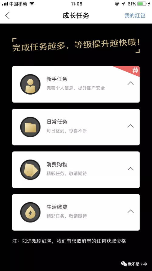 搞会员系统,打造高效会员系统，提升客户忠诚度与品牌价值